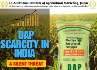 A silent Threat: The DAP scarcity in India