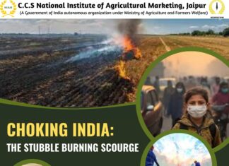 CHOKING INDIA: THE STUBBLE BURNING SCOURGE