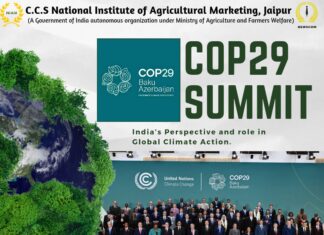 COP29 Summit: India’s Perspective and Role in Global Climate Action