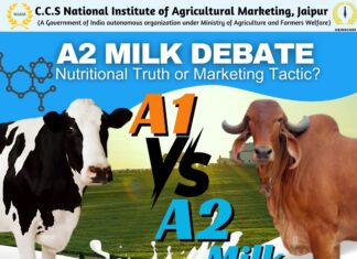 The A2 Debate: Nutritional Truth or Marketing Tactic?