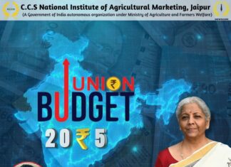 Union Budget 2025-26