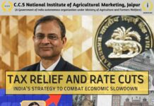 Balancing Growth and Inflation: RBI’s Repo Rate Cut and Government’s Fiscal Measures Amid Economic Challenges