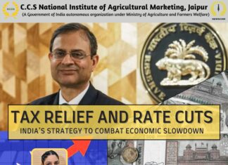 Balancing Growth and Inflation: RBI’s Repo Rate Cut and Government’s Fiscal Measures Amid Economic Challenges