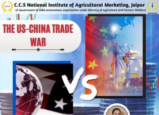 “Impact of the US-China Trade War on Both Economies and Global Trade Dynamics”